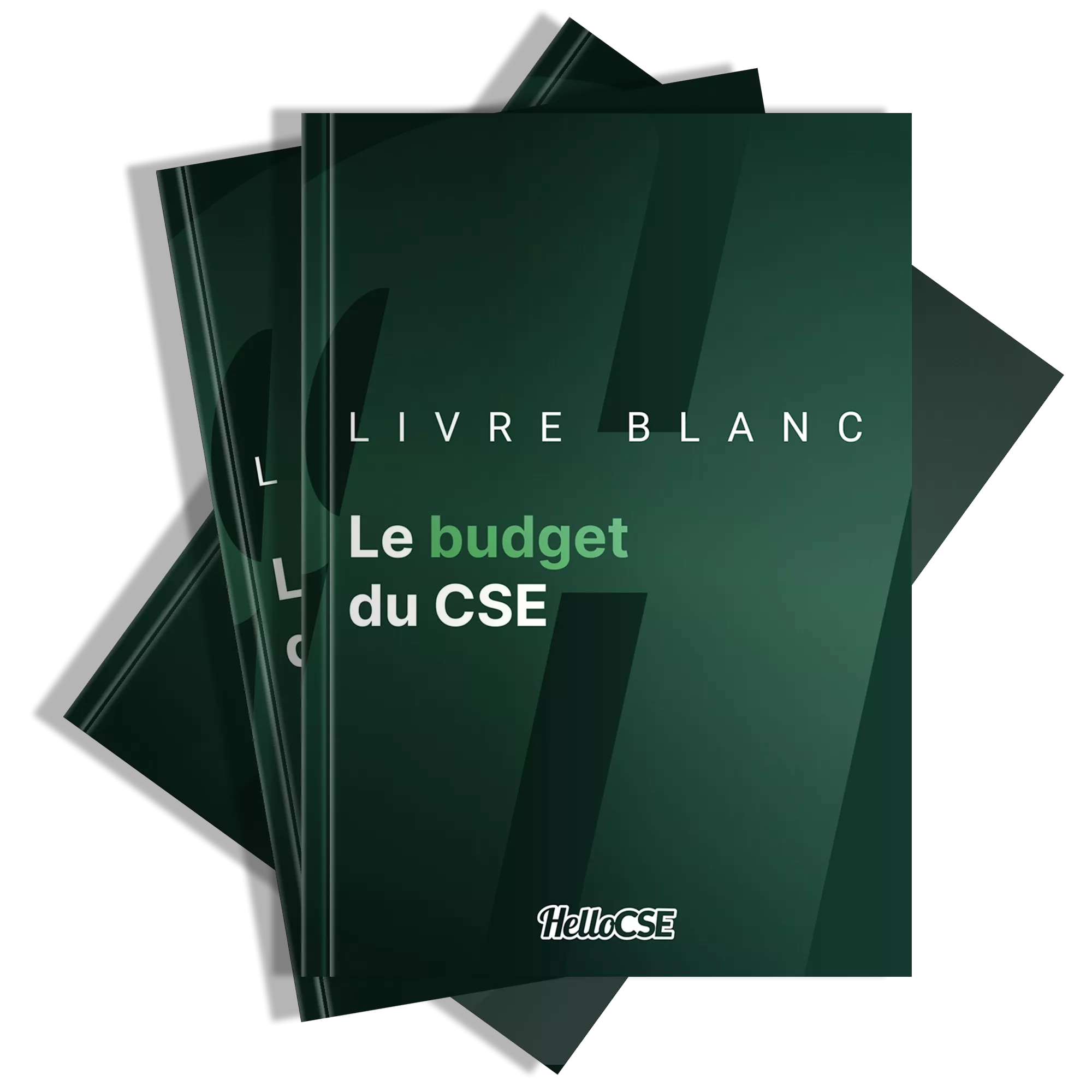 Le budget du CSE : calcul, financement, fonctionnement (2024)