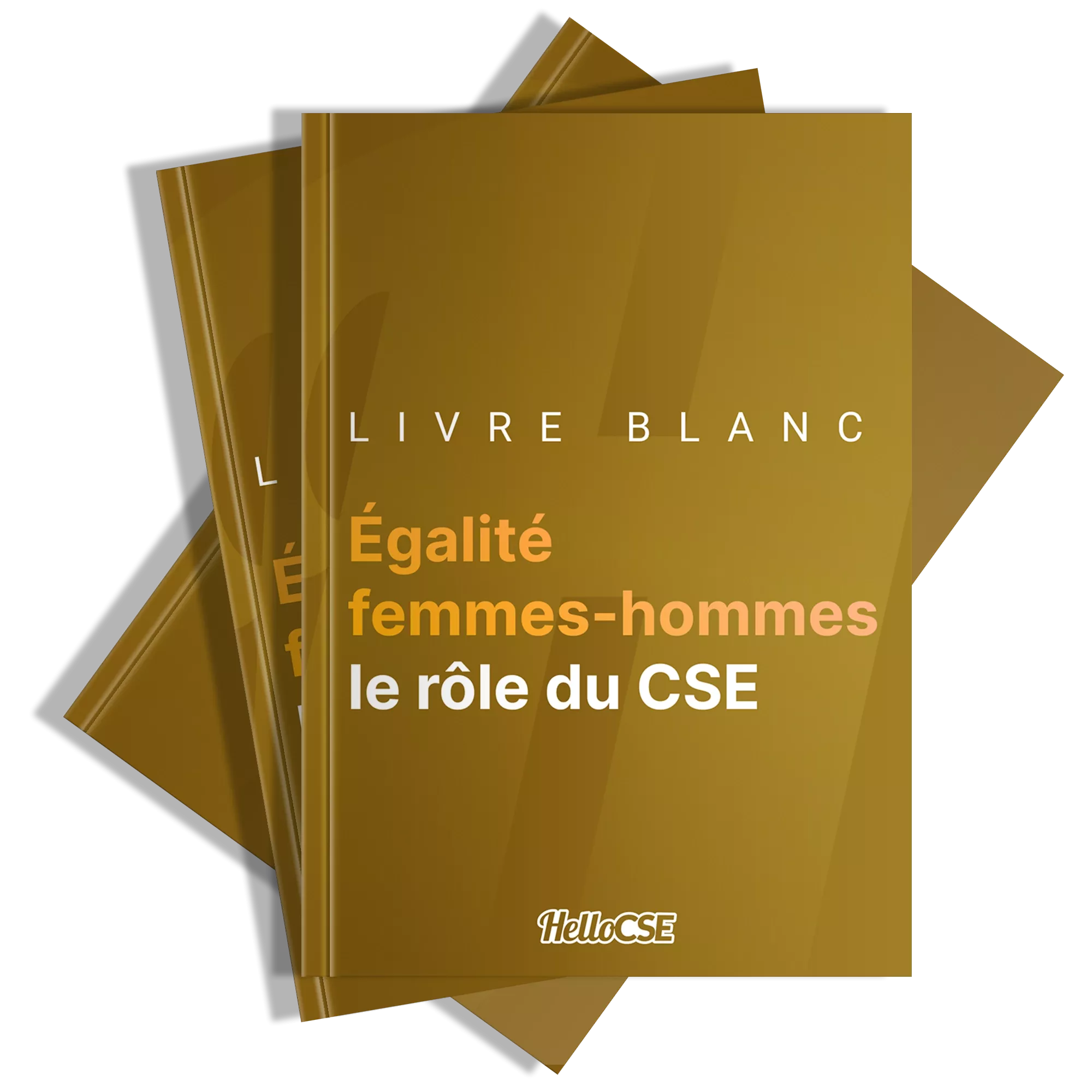Égalité hommes femmes au travail : actions RH & rôle du CSE
