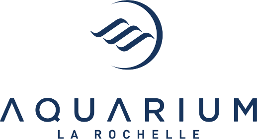 Offre CE Aquarium La Rochelle : -12,00% de réduction