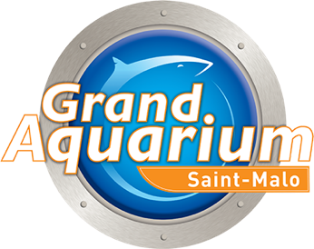Offre CSE Aquarium de Saint Malo