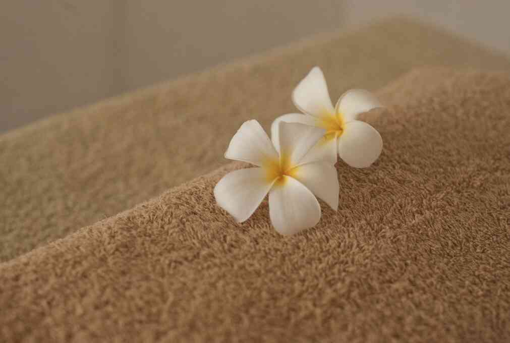 Offre CSE Atila Spa
