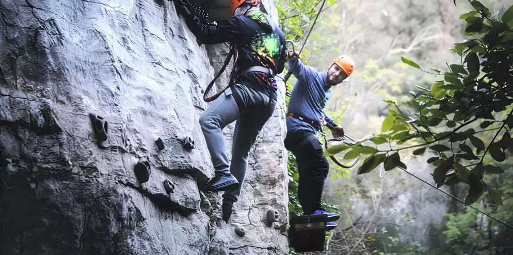 Offre CSE Canyon Forest