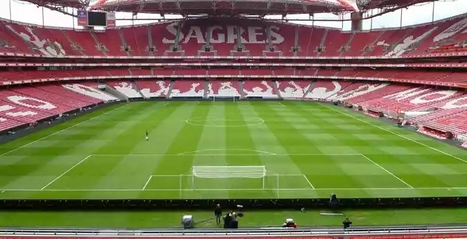 Offre CSE Estádio da Luz & musée Benfica