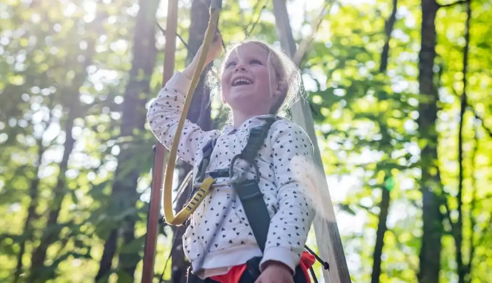 Offre CSE Foret Adrenaline