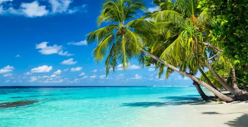 Offre CSE Jet tours