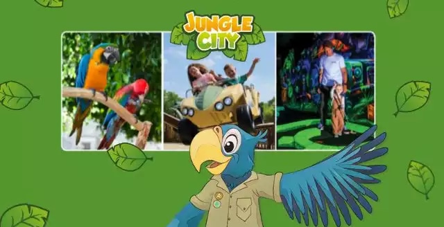 Offre CSE Jungle City