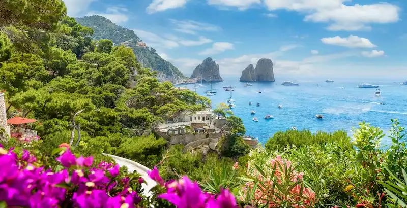 Offre CSE La Vie Sauvage