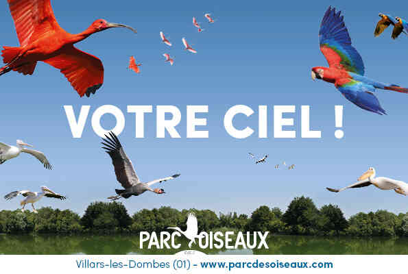 Offre CSE Le Parc des Oiseaux