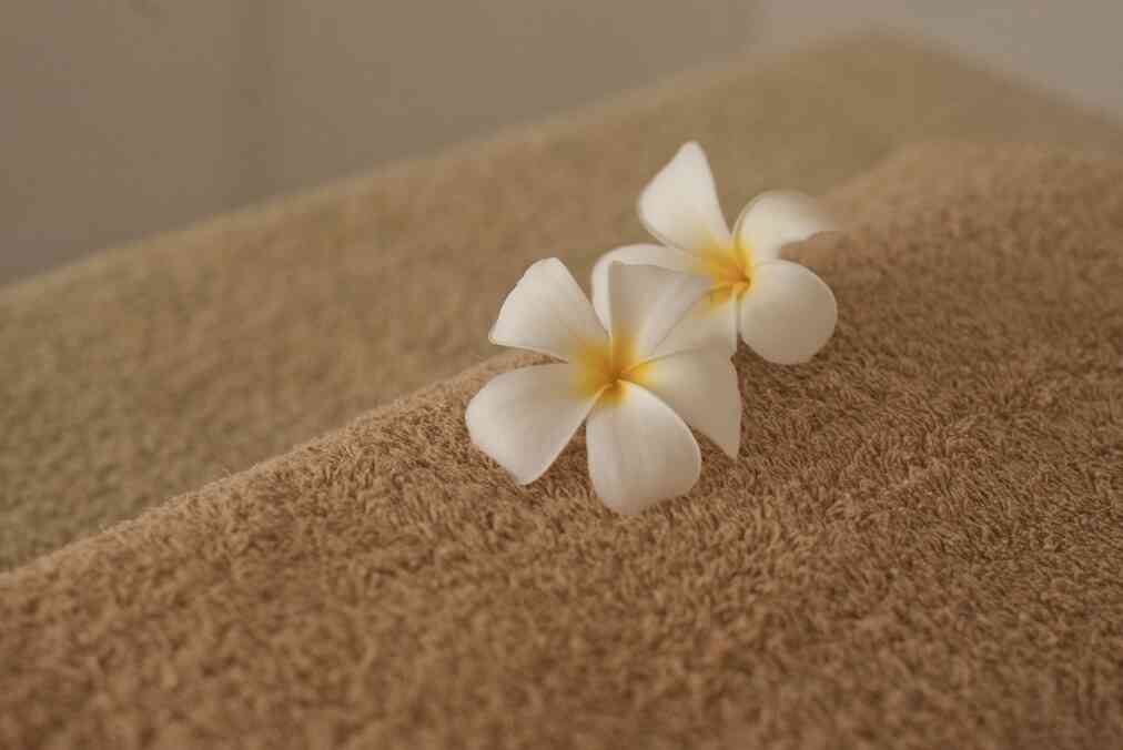 Offre CSE Le Spa des Arômes