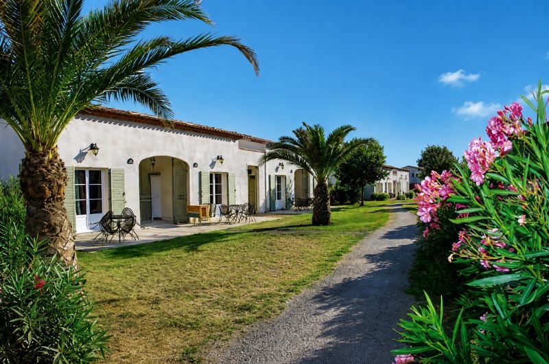 Offre CSE Les Jasses de Camargue