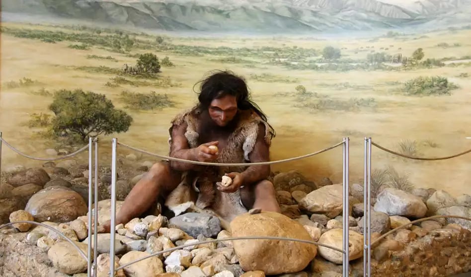 Offre CSE Musée de Préhistoire de Tautavel