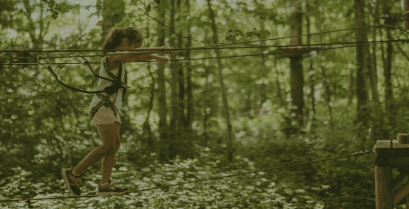 Offre CSE Natura Parc