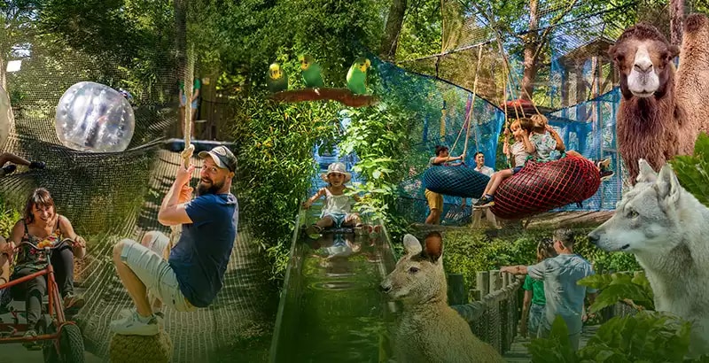 Offre CSE Natural' Parc