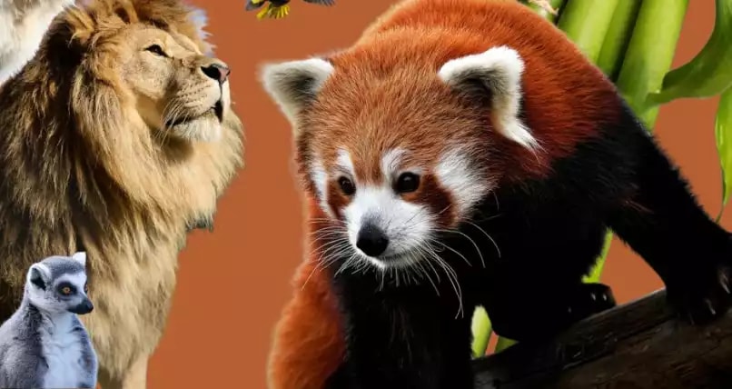 Offre CSE Parc de l'Auxois