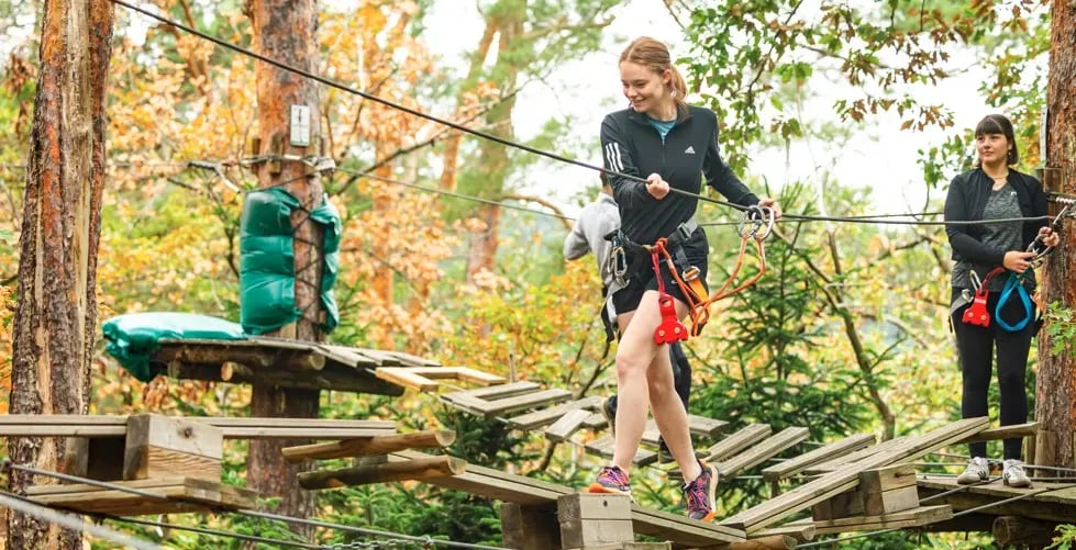 Offre CSE Parc Ecureuil