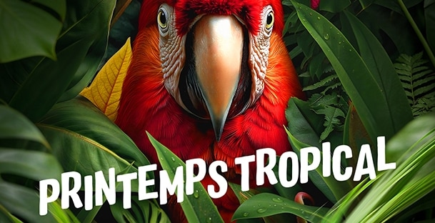 Offre CSE Parrot World