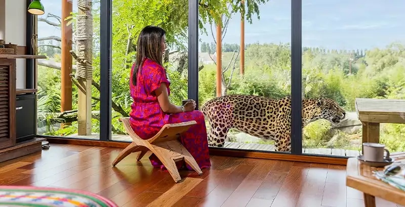 Offre CSE Parrot World - Séjours