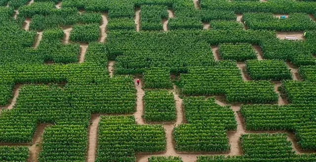 Offre CSE Pop Corn Labyrinthe