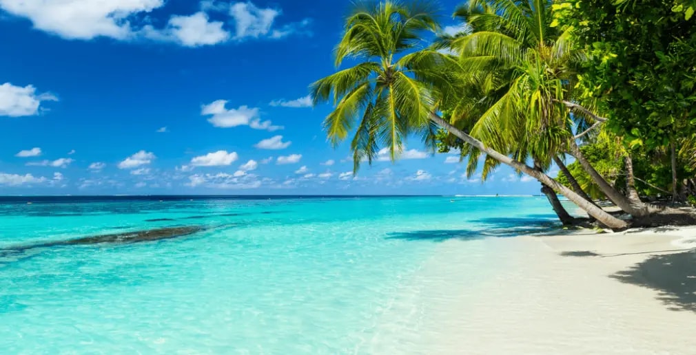 Offre CSE Promoséjours-ce