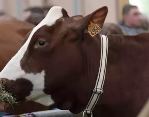 Offre CSE Salon International de l'Agriculture 2026