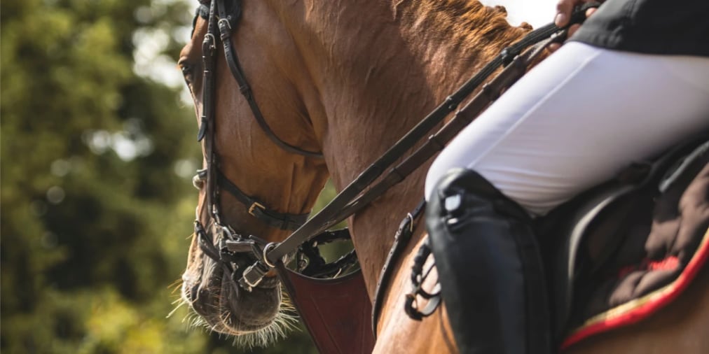 Offre CSE Société d'équitation de paris