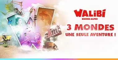 Offre CSE Walibi Rhône Alpes