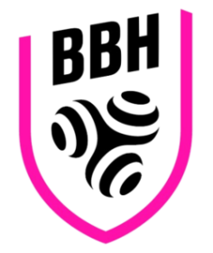 Offre CSE Brest Bretagne Handball : -25,00% de réduction