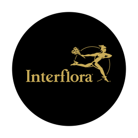 offer_logo