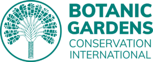 offer_logo