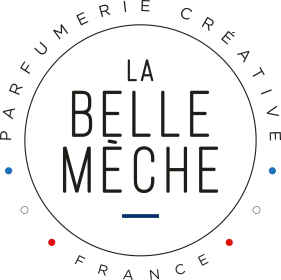 Offre CSE La Belle Mèche 