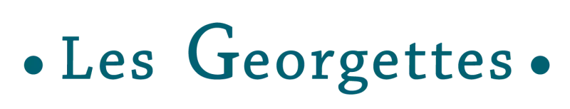 Offre CSE Les Georgettes 