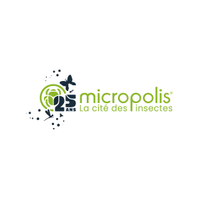 Offre CSE Micropolis 