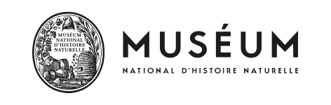Offre CSE Musée d'histoire naturelle de New-York : -10,00% de réduction