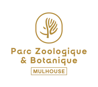 offer_logo