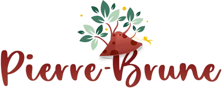 Offre CSE Parc de Pierre de Brune 