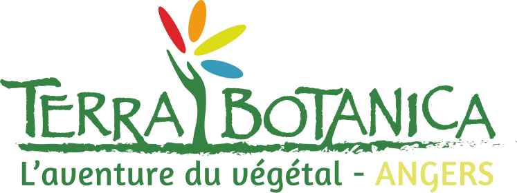 offer_logo