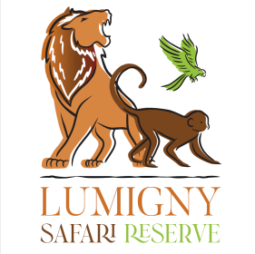 Offre CSE Lumigny Safari Reserve 