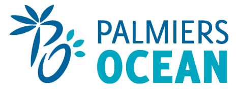 Palmiers Océan