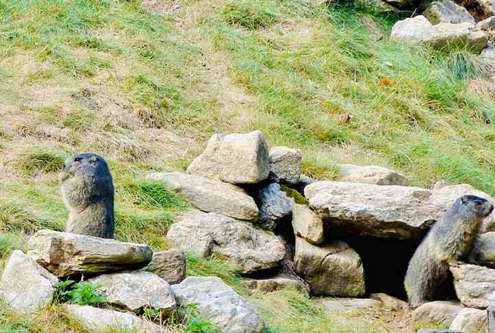 Offre CSE Parc de Courzieu