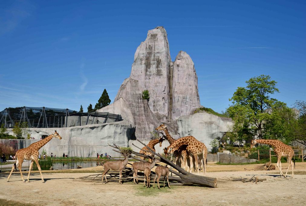 Offre CE Parc Zoologique de Paris