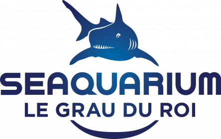 Offre CE Seaquarium : -15,63% de réduction