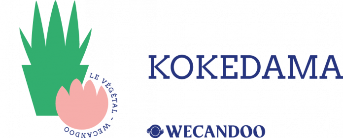 Offre CE Fabriquez votre Kokedama - Paris : -8,00% de réduction