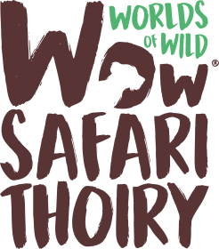 Offre CSE Wow Safari Thoiry : -11,00% de réduction