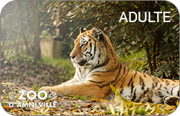 Zoo d'Amnéville : Une entrée Adulte