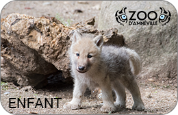 Zoo d'Amnéville : Une entrée Enfant