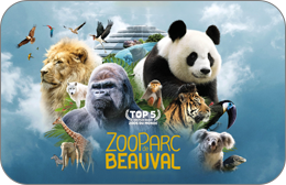 ZooParc de Beauval : Entrée Adulte 1 Jour