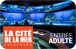 Cité de la Mer : Billet Adulte