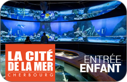 Cité de la Mer : Billet Enfant