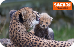 Safari de Peaugres : Entrée Enfant