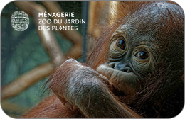 Ménagerie du Jardin des Plantes : Entrée Enfant